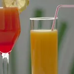 Novotel Paris Charles De Gaulle Airport 4*